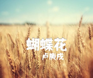 《蝴蝶花吉他谱》_卢庚戌 图片谱1张