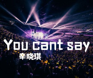 《You cant say吉他谱》_辛晓琪 图片谱1张