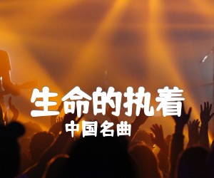 《生命的执着吉他谱》_中国名曲_指弹独奏 图片谱6张