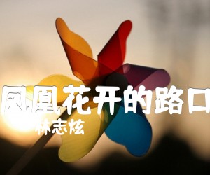 《凤凰花开的路口吉他谱》_林志炫_进阶版_C调_吉他图片谱2张