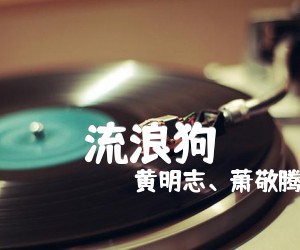 《流浪狗吉他谱》_黄明志、萧敬腾_游鸿明_图片谱标准版_A调_吉他图片谱3张